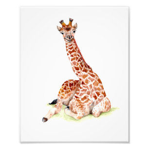 Foto Baby Giraffe
