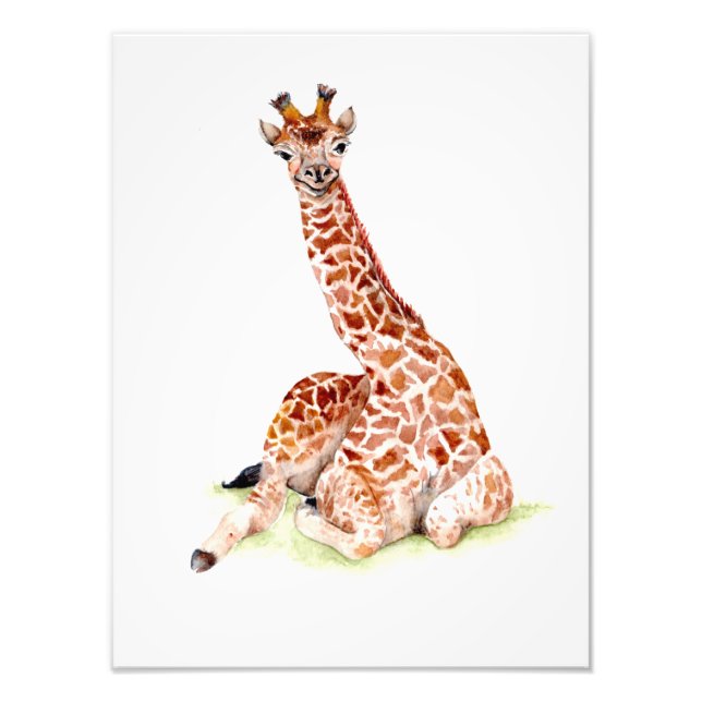Foto Baby Giraffe (Frente)