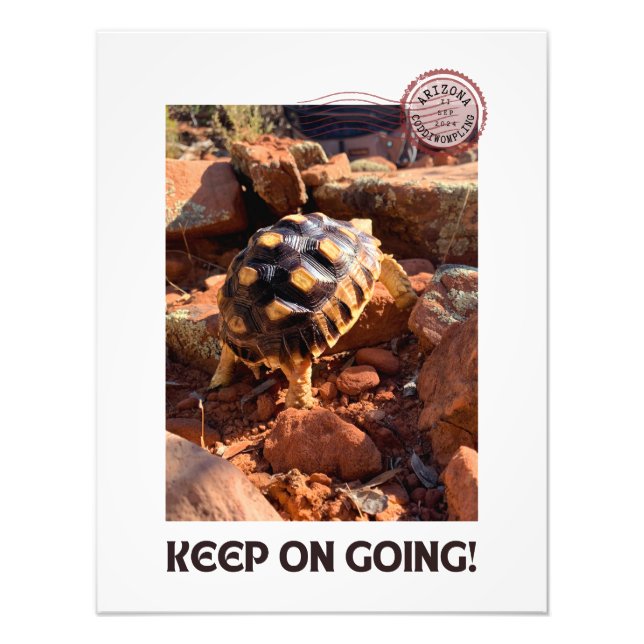 Foto Baby Sulcata caminhando na Arizona Sedona Red Rock (Frente)