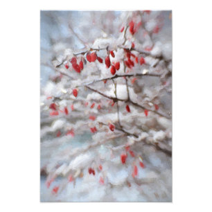 Foto Baga vermelha Bush na pintura do inverno