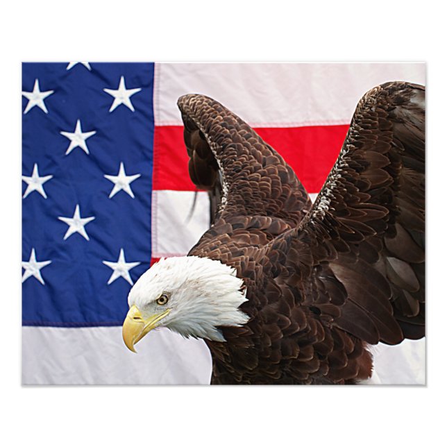 Foto Bald Eagle com a bandeira americana (Frente)