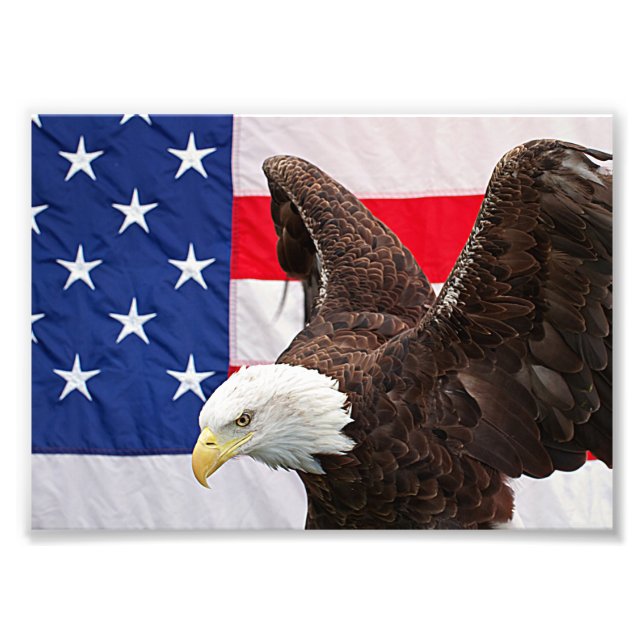 Foto Bald Eagle com a bandeira americana (Frente)