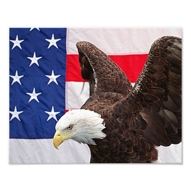 Foto Bald Eagle com a bandeira americana (Frente)