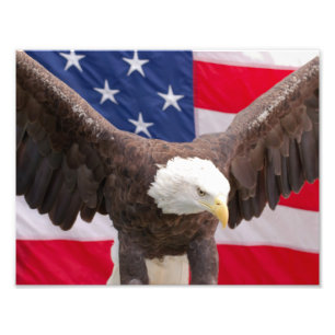 Foto Bald Eagle com a Quebra-cabeça da bandeira america