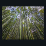 Foto Bamboo Grove Dreams Arashiyama Forest Kyoto Japan<br><div class="desc">Experience the magic of Japan with authentic photography of Arashiyama Grove in Kyoto,  Japan. The towering bamboo trees reach for the sky as slivers of blue peek through the canopy in this dreamy ancient forest scene. This beautiful print is ideal for nature lovers and collectors of Asian art.</div>