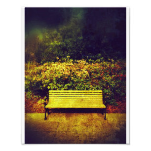Foto Banco de parque de Forsyth