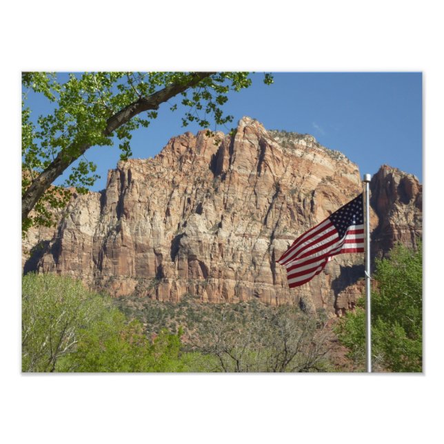 Foto Bandeira Americana no Parque Nacional Zion I (Frente)