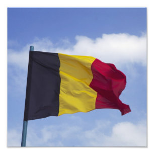 Foto bandeira belga RF)