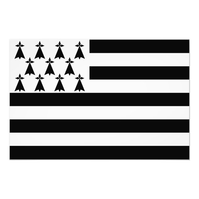 Foto Bandeira Brittany Patriótica (Frente)