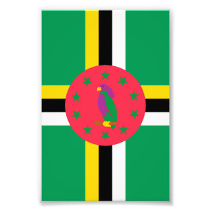 Foto Bandeira da Domínica