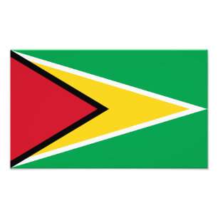 Foto Bandeira da Guiana