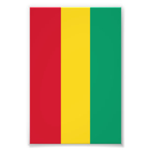 Foto bandeira da Guiné
