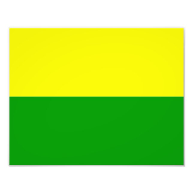 Foto Bandeira da Haia (Frente)