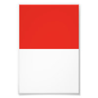 Bandeira da Indonésia