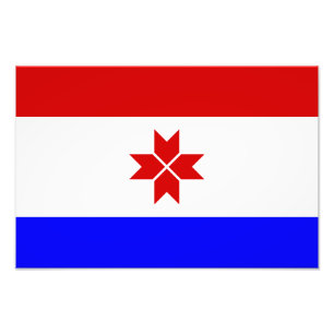 Foto Bandeira da Mordóvia
