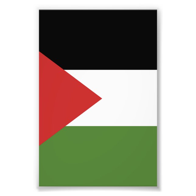 Foto bandeira da Palestina (Frente)