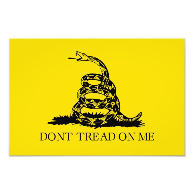 Foto Bandeira de Gadsden Rattlesnake: Guerra Revolucion (Frente)