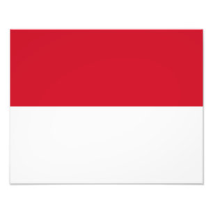 Foto Bandeira de Mônaco