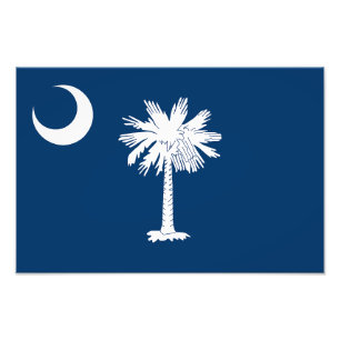 Foto Bandeira do Estado da Carolina do Sul