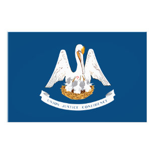 Foto Bandeira do Estado da Louisiana EUA