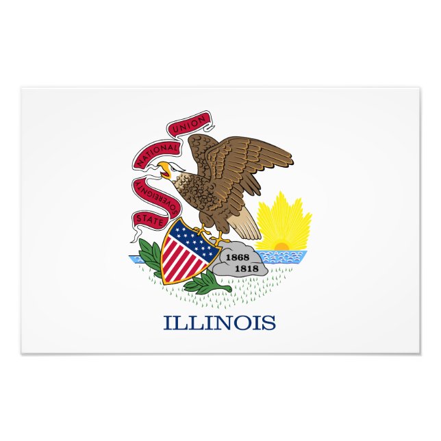 Foto Bandeira do Estado de Illinois (Frente)