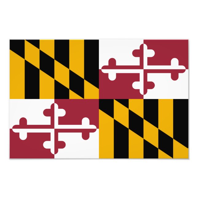 Foto Bandeira do Estado de Maryland (Frente)