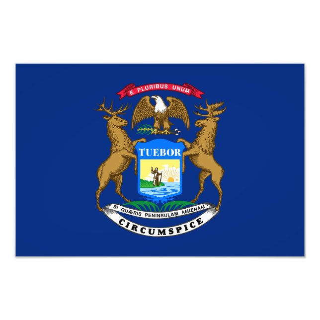 Foto Bandeira do estado de Michigan (Frente)