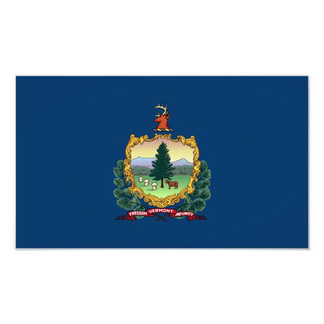 Foto Bandeira do Estado de Vermont (Frente)