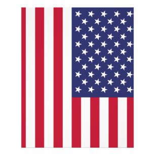 Foto Bandeira dos Estados Unidos da América
