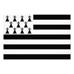 Foto Bandeira Patriótica da Bretanha