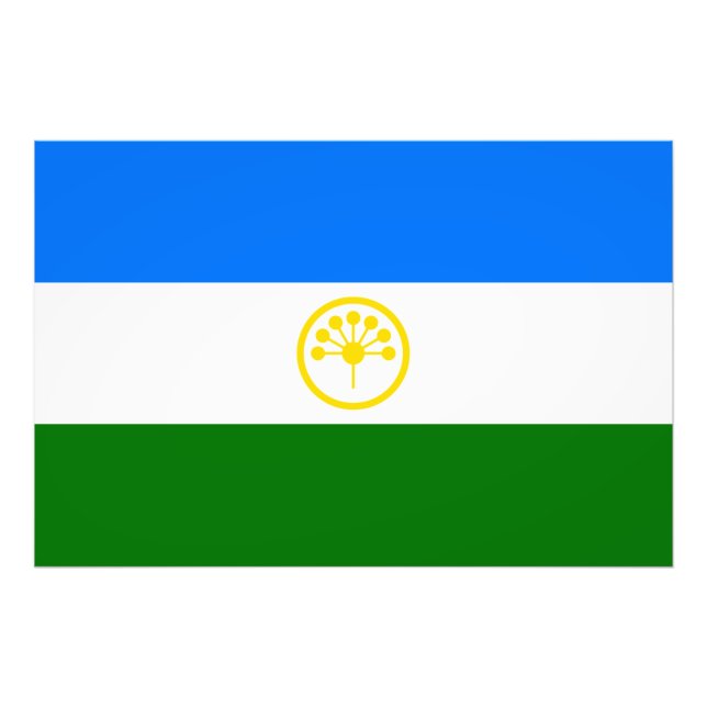 Foto Bandeira Patriótica de Bashkortostan (Frente)