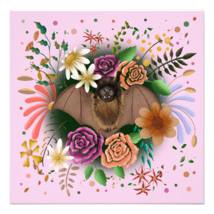 Foto Bat Flowers Floral Botânica
