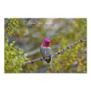 Foto Be-Jeweled 1