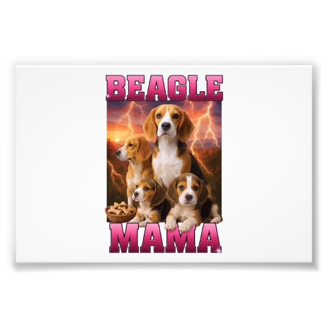 Foto Beagle  (Frente)