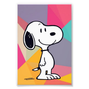 Foto Beagle Cartoon Geométrico Arte Pop Divertida