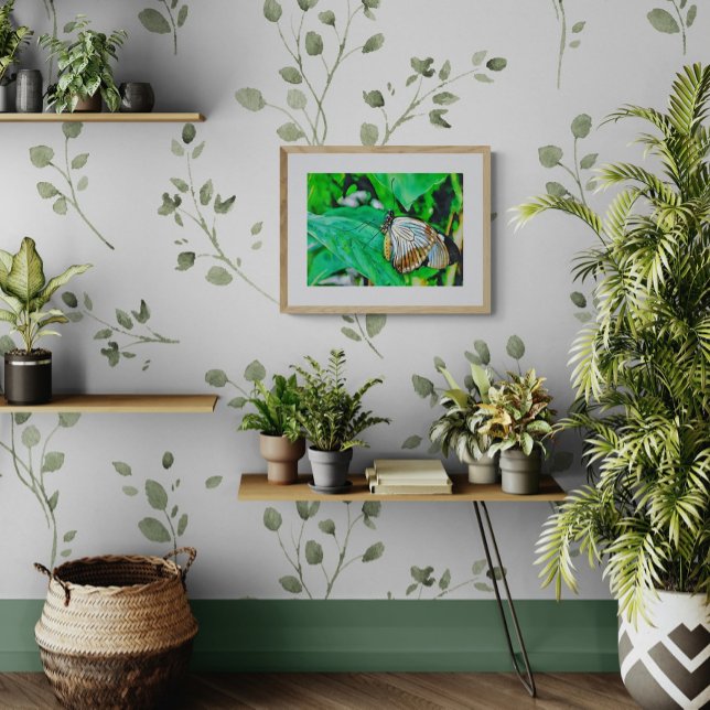 Foto Beautiful White and Brown Butterfly (Criador carregado)