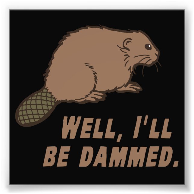 Foto Beaver danificado (Frente)