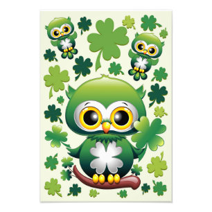 Foto Bebê Coruja Fofo St Patrick Desenho Animado