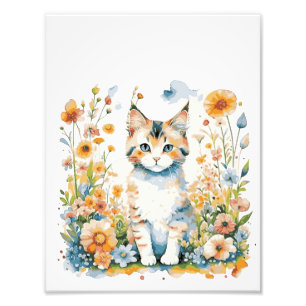 Foto Bebê de gato fofo