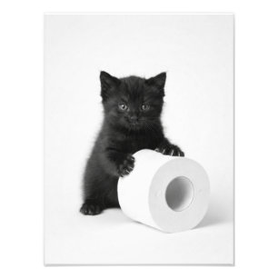Foto Bebê Gatinho Preto Guardando Rolo de Papel Higiêni