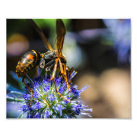 Bee Aware 10" x 8", Kodak Pro Photo Paper (Satin)