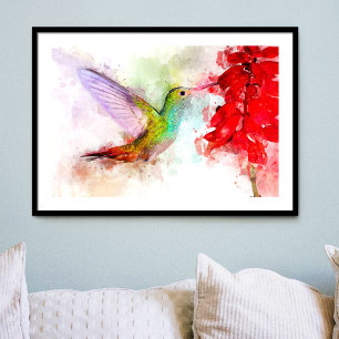 Foto Beija-flor em Aquarela se Alimentando de Flor Verm