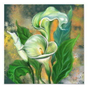 Foto Bela Arte de Pintura de Flor de Lírio Calla
