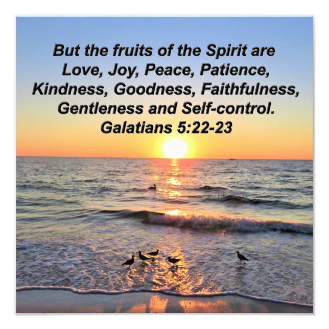 FOTO BELAS GALÁCIAS 5 SUNRISS (Frente)