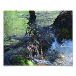 Foto Beleza Aleatória