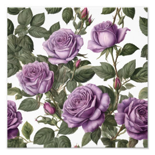 Foto "Beleza do Eterno: Rosas de visões provinciais rox
