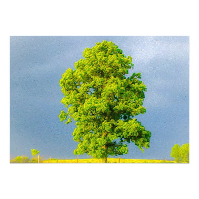 Foto Beleza na Tempestade (Frente)