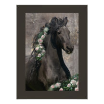 Beleza Negra Cavalo Frísia - Poster