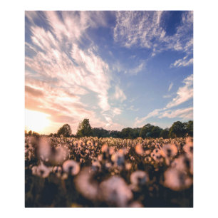 Foto belo céu sobre o plano