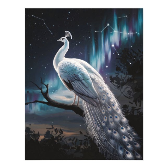 Foto Belo Pavão Branco Aurora Boreal Cênica (Frente)